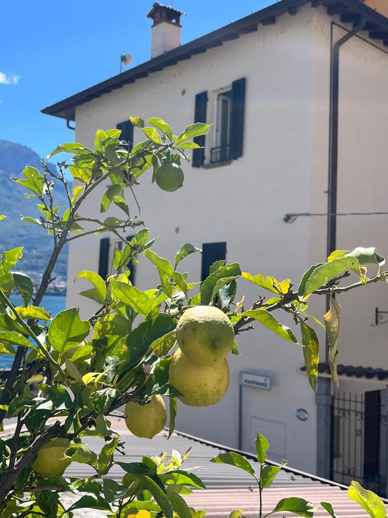 Domus Graziana - Lake Front Oliveto Lario Kültér fotó