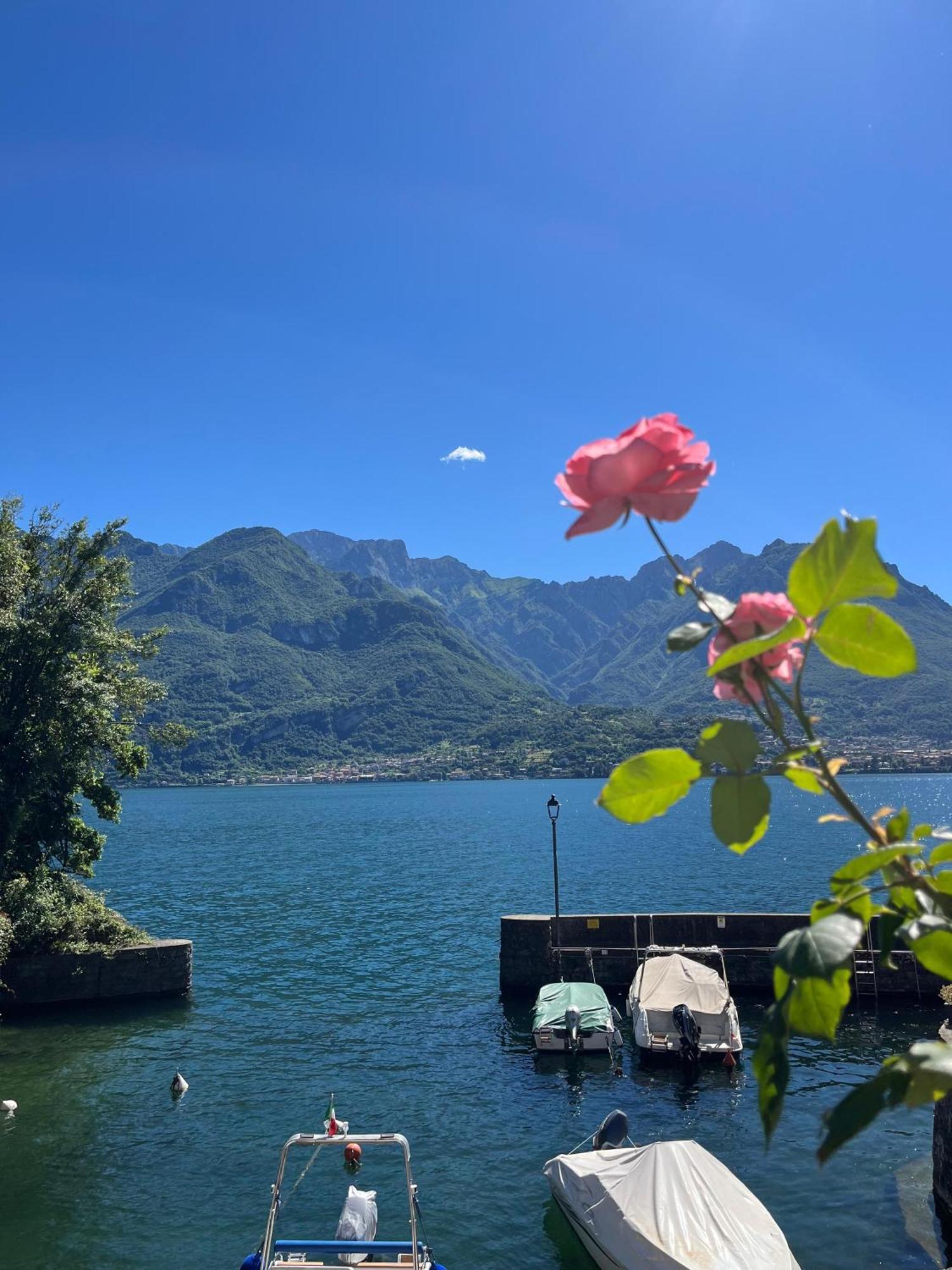 Domus Graziana - Lake Front Oliveto Lario Kültér fotó